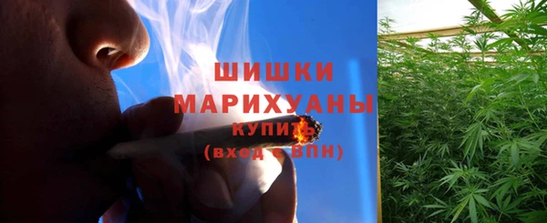 гашик Каменка
