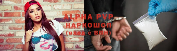 apvp Алзамай