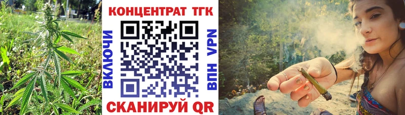 где найти Рыбное ТГК Wax